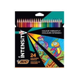 BIC INTENSITY KURU BOYA KALEMİ 24 RENK